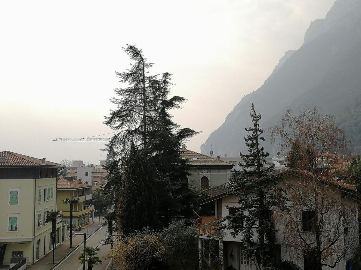 Apartment App Angela - Ardaro 1 *